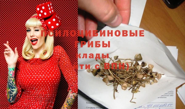 крисы Краснотурьинск